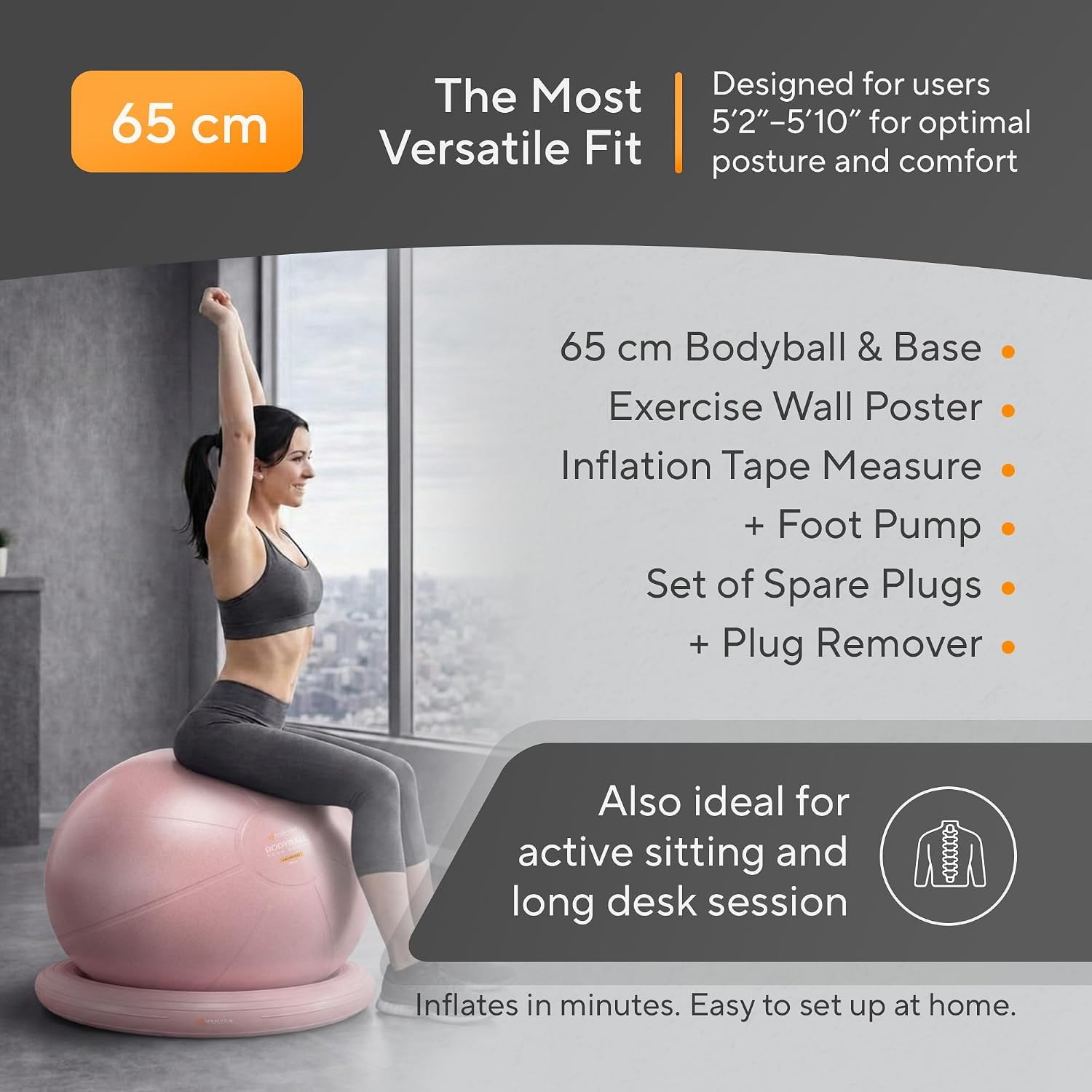 Office Yoga Birth Stability Ball Chair